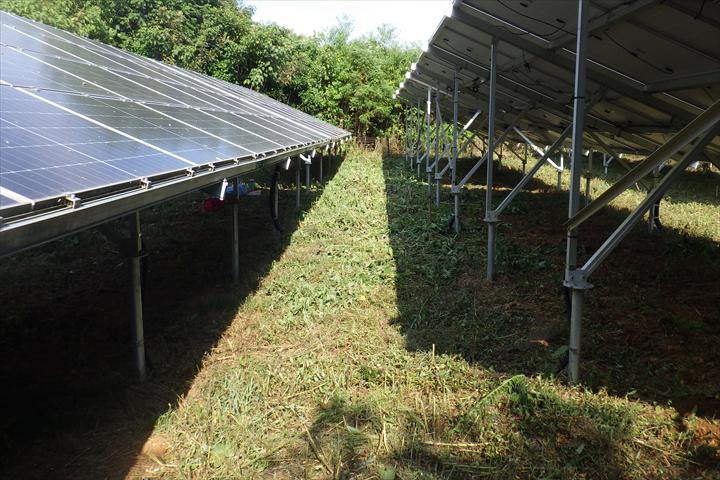 除草後に発電に適した状態に戻った太陽光発電所